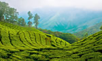 Munnar