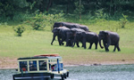 Thekkady
