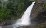 Soochipara Waterfalls Wayanad